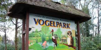 Eröffnung des Vogelparks Niendorf