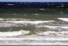 Amtliche Warnung vor Sturmböen