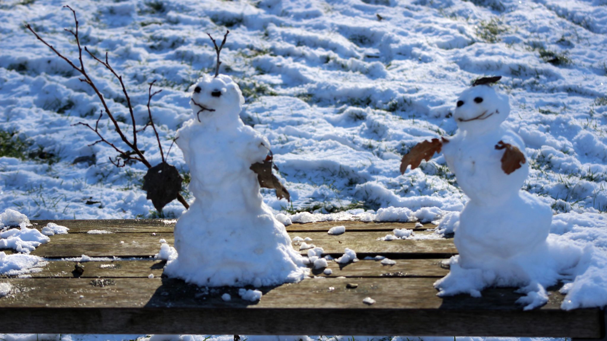 Mit Frost in den Februar › OH-AKTUELL