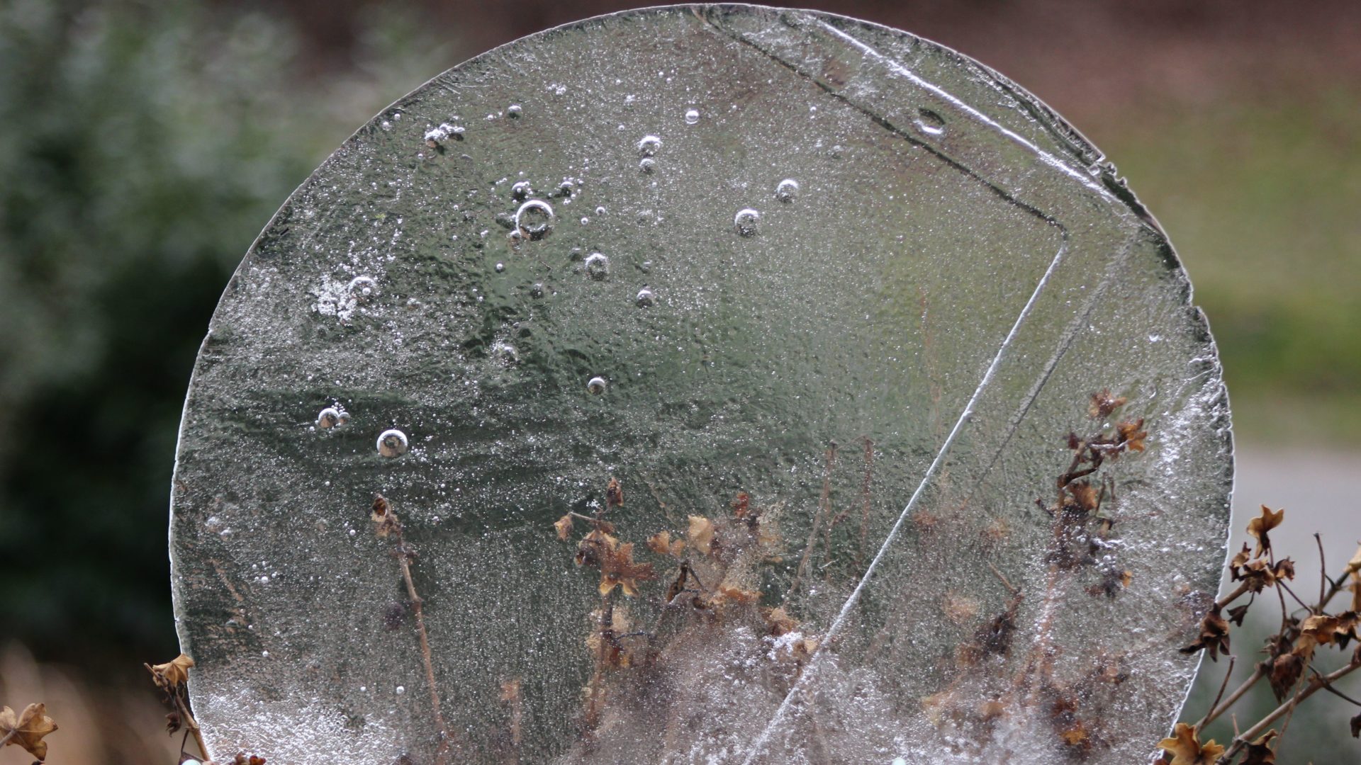 Amtliche Warnung vor strengem Frost › OHAKTUELL