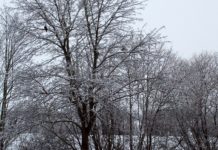 Dienstag stark bewölkt und meist trocken