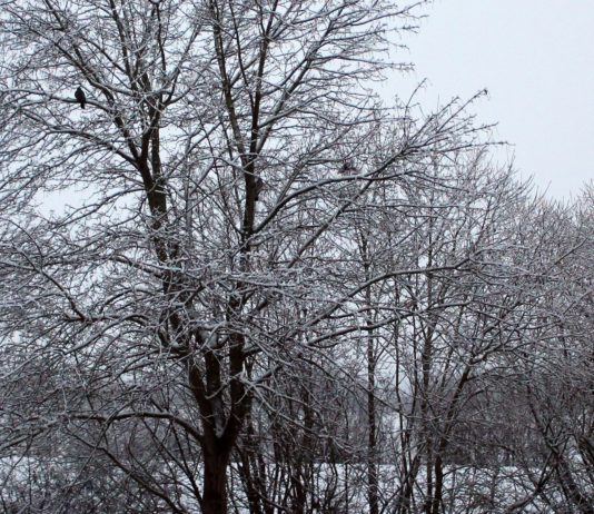 Dienstag stark bewölkt und meist trocken