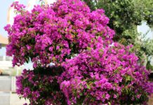 „Ostern unplugged“ & Ostereiersuche in Scharbeutz