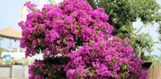 „Ostern unplugged“ & Ostereiersuche in Scharbeutz