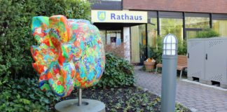 Im Mai heißt es wieder: Rasenmäher aus – Natur an!