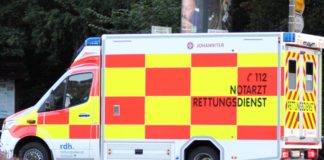 Eingeklemmt zwischen Baum und Pkw