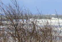 Amtliche Warnung vor Sturmböen