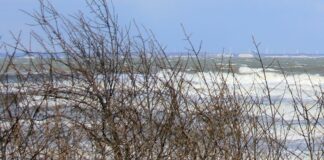 Amtliche Warnung vor Sturmböen verlängert