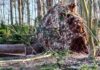 Wer macht denn so etwas? Hundewelpen getötet und im Wald vergraben