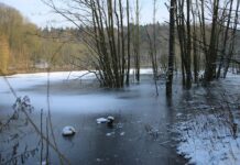 Frost und Glätte in der Nacht – und Sonnabend Dauerfrost