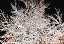 Stellenweise Glatteisgefahr