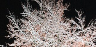 Stellenweise Glatteisgefahr