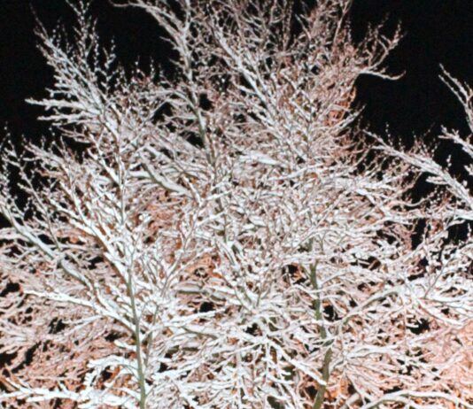 Stellenweise Glatteisgefahr