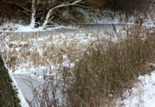 Ab Donnerstagmorgen erneut Schnee und Dauerfrost