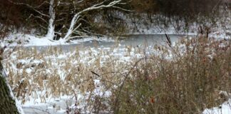 Ab Donnerstagmorgen erneut Schnee und Dauerfrost