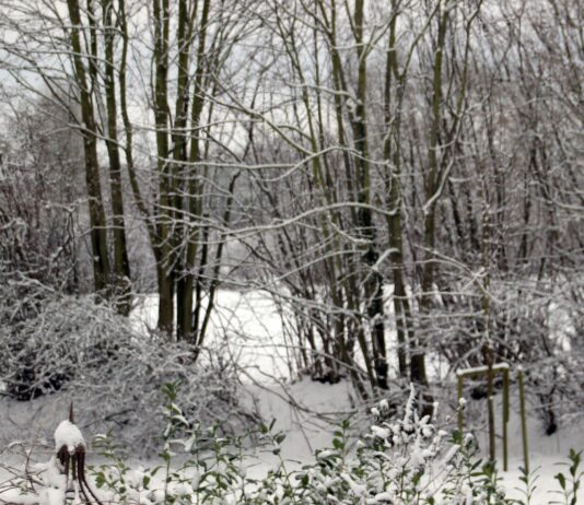 Wetterlage im Norden: Frost – Glätte – Wind