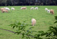 Aktion Naturerlebnis feiert Jubiläum