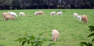 Aktion Naturerlebnis feiert Jubiläum