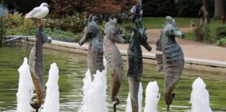 OstseeTalent goes music