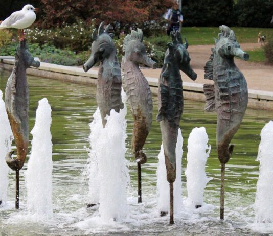 OstseeTalent goes music