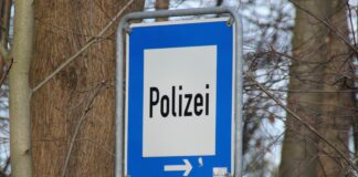 Spaziergänger entdeckt Tierinnereien an der Stecknitzbrücke in Moisling