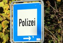 Unfall nach Wildwechsel