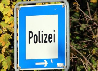 Unfall nach Wildwechsel