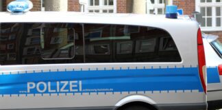 Fast 2 Promille! Parkende Fahrzeuge in Neustadt gerammt