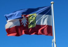 Weitere Geflügelpest-Ausbrüche in Schleswig-Holstein