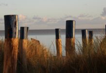 Tageshöchstwerte Montag auf Fehmarn um null Grad