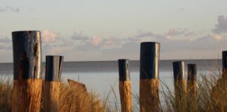 Tageshöchstwerte Montag auf Fehmarn um null Grad