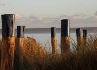 Windsurfer tot auf Fehmarn gefunden