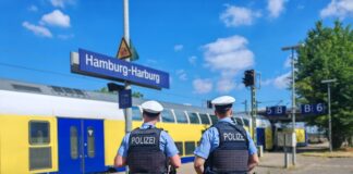 Zugbegleiterin bei Fahrkartenkontrolle sexuell belästigt