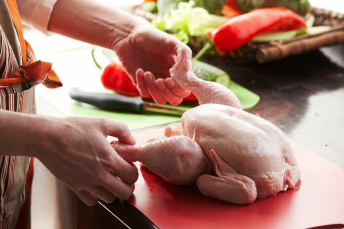 Campylobacter+Salmonellen-2025