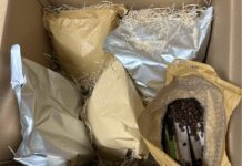 Zoll sichert 50 Kilogramm Haschisch am Fährbahnhof Puttgarden