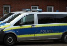 Katze reist als blinder Passagier nach Travemünde