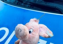 Zeugenaufruf: Welches Kind möchte vor Weihnachten „Schwein haben“?