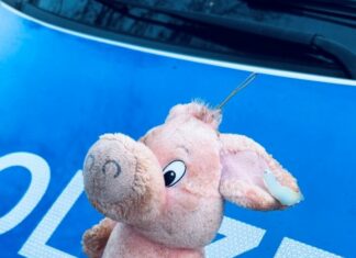 Zeugenaufruf: Welches Kind möchte vor Weihnachten „Schwein haben“?