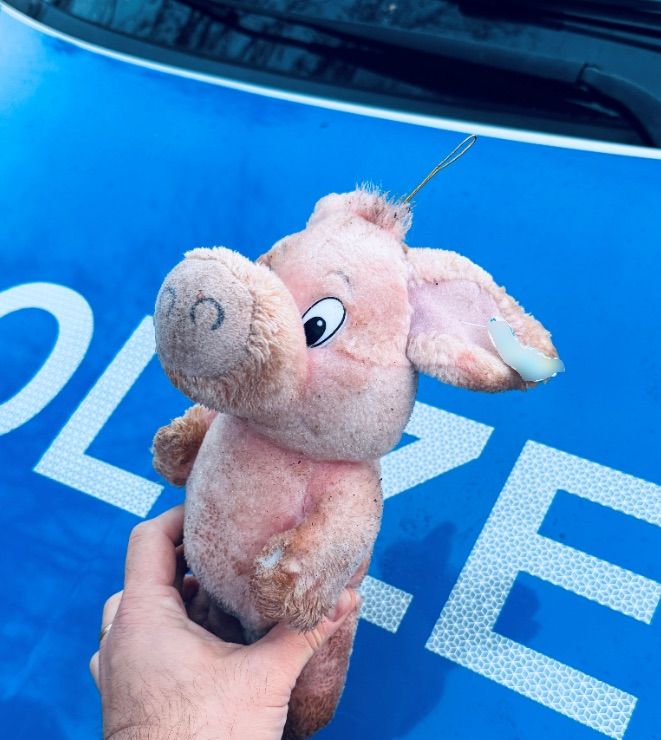 Foto des aufgefundenen Stofftiers