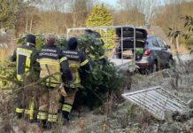 Bürgerverein lädt ein zum Aufstellen des Weihnachtsbaums