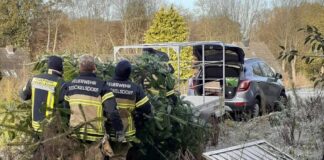 Bürgerverein lädt ein zum Aufstellen des Weihnachtsbaums