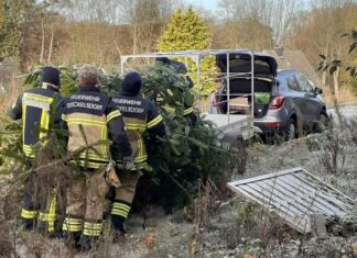 Bürgerverein lädt ein zum Aufstellen des Weihnachtsbaums