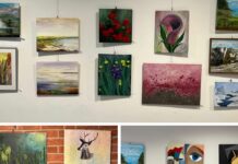 Bilderausstellung im Foyer des Rathauses Stockelsdorf