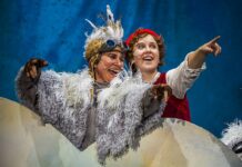 Gänse für den guten Zweck