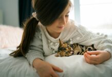 Auch kleine Haustierbisse bergen hohe Infektionsgefahr