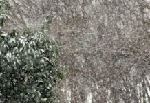 Schneefall und Schneeverwehungen