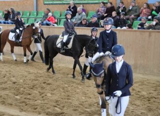 ORV Hallenturnier auf dem Hof Lütjenmoor