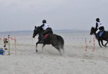 Das Rennen ist komplett ausgebucht – einfach großartig!