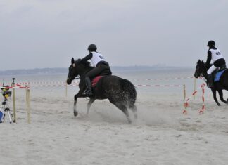 Das Rennen ist komplett ausgebucht – einfach großartig!