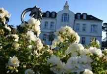 Das Rennen ist komplett ausgebucht – einfach großartig!